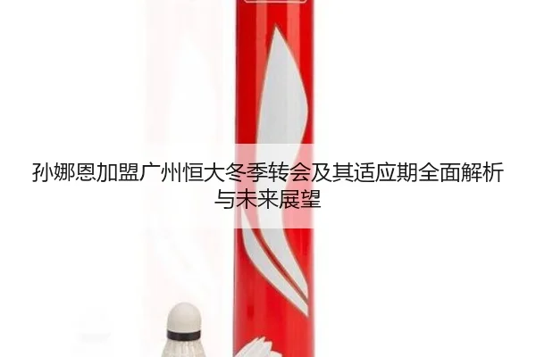孙娜恩加盟广州恒大冬季转会及其适应期全面解析与未来展望